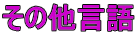 ���̑�����